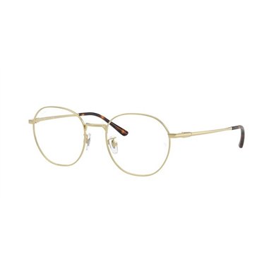 Ray-Ban RX8778D 1251