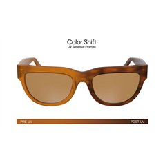 Calvin Klein Jeans CKJ25600S 201 2