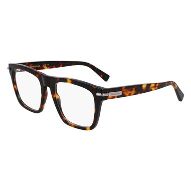 Salvatore Ferragamo SF3015 242