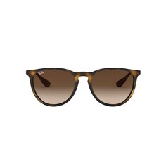 Ray-Ban ERIKA RB4171 865/13 2