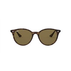 Ray-Ban RB4305 710/73 2
