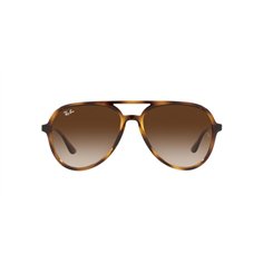 Ray-Ban RB4376 710/13 2