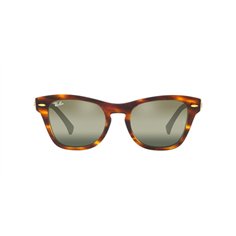 Ray-Ban RB0707SM 954/G4 2