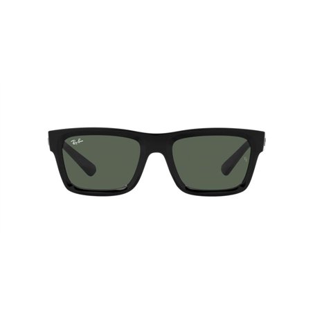Ray-Ban WARREN RB4396 667771