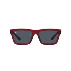 Ray-Ban WARREN RB4396 667987 2