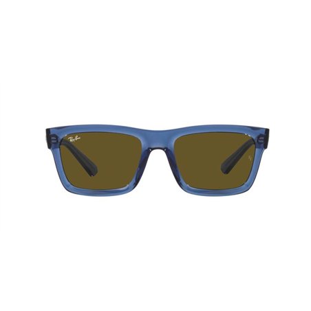 Ray-Ban WARREN RB4396 668073