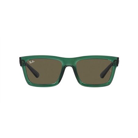 Ray-Ban WARREN RB4396 6681/3 Ray-Ban WARREN RB4396 6681/3