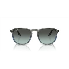 Ray-Ban RB2203 1391GK 2