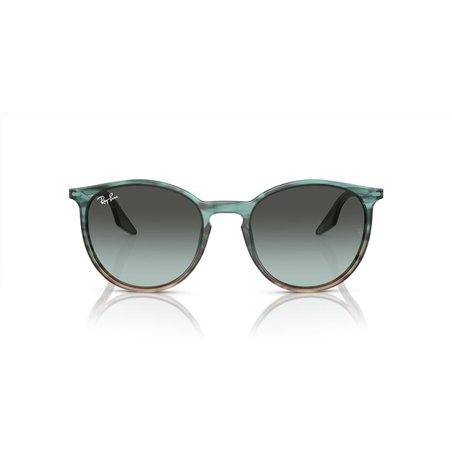 Ray-Ban RB2204 1394GK Ray-Ban RB2204 1394GK
