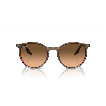 Ray-Ban RB2204 13953B Ray-Ban RB2204 13953B