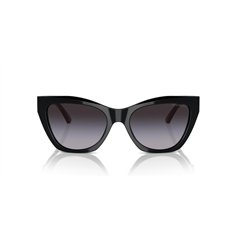 Emporio Armani EA4176 50178G 2