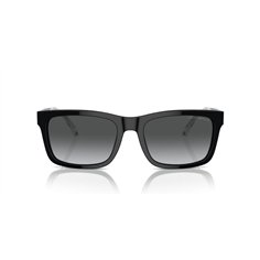 Emporio Armani EA4224 5017T3 2
