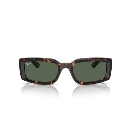 Ray-Ban KILIANE RB4395 135971