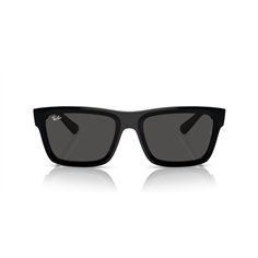 Ray-Ban WARREN RB4396 667787 2