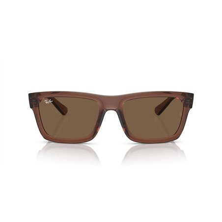 Ray-Ban WARREN RB4396 667873