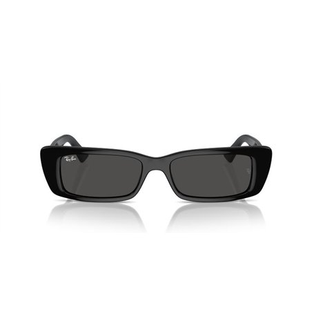 Ray-Ban TERU RB4425 667787