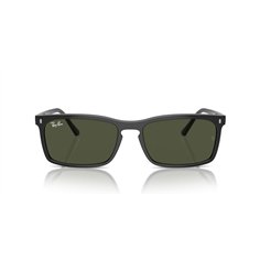 Ray-Ban RB4435 901/31 2
