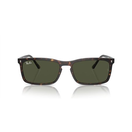 Ray-Ban RB4435 902/31 Ray-Ban RB4435 902/31