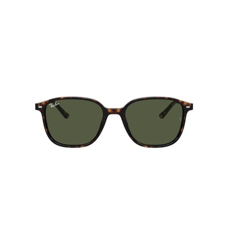 Ray-Ban LEONARD RB2193 902/31