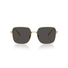 Dolce & Gabbana DG2310 02/87 2