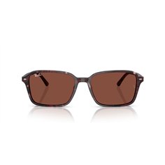 Ray-Ban RAIMOND RB2231 1416C5 2