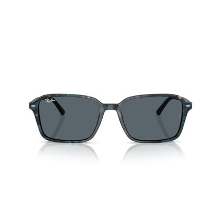 Ray-Ban RAIMOND RB2231 1417R5