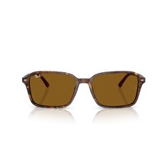 Ray-Ban RAIMOND RB2231 141833 2