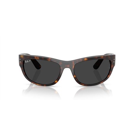 Ray-Ban MEGA BALORAMA RB2289 902/48