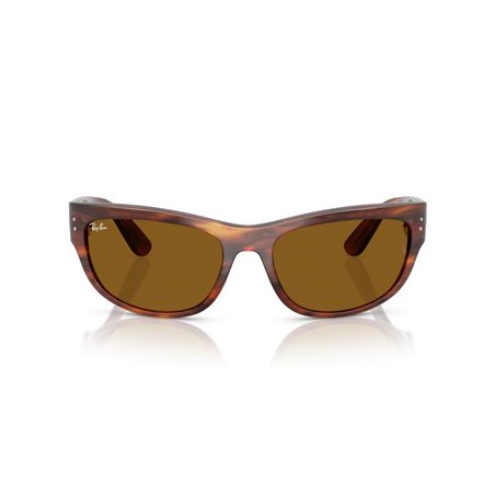 Ray-Ban MEGA BALORAMA RB2289 954/33