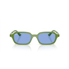 Ray-Ban ZURI RB4455 681080 2