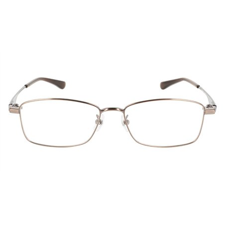 Salvatore Ferragamo SF9006 212