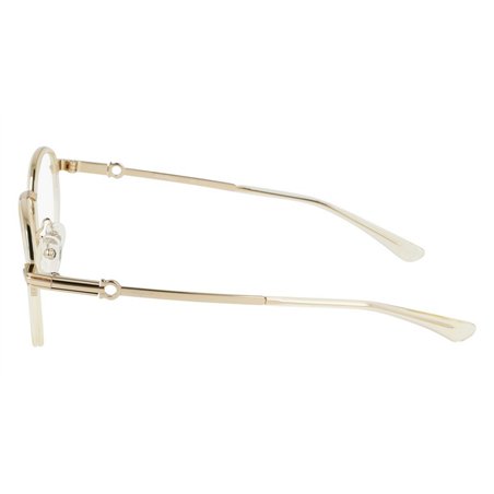 Salvatore Ferragamo SF9009 279